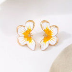 Puces D'Oreilles Papillon