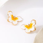 Puces D'Oreilles Papillon