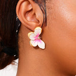 Puces D'Oreilles Papillon
