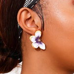 Puces D'Oreilles Papillon