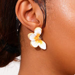 Puces D'Oreilles Papillon